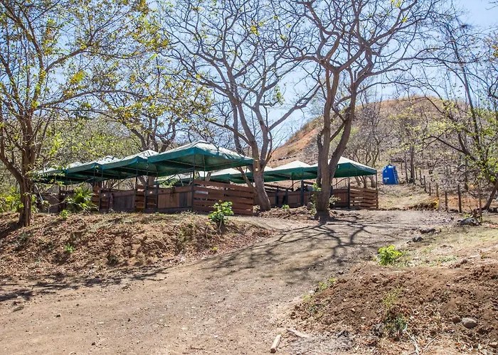 Brisas De La Montaña *