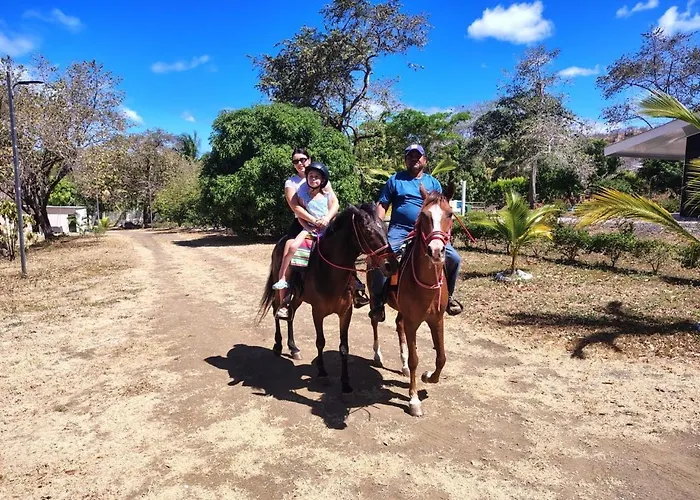 Brisas De La Montaña Coco